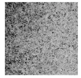Analysis on Material and Heat Treatment Quality of Spindle Bearing Roller for Foreign Shield Machine