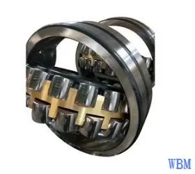 2022 February The 5th Week WBM News Recommendation - Tolomatic RSH Actuators Meet Hygienic Standards