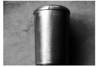 Early Failure Analysis of Precision Machine Tool Roller